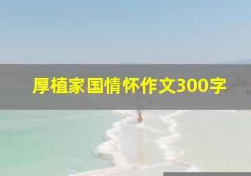 厚植家国情怀作文300字