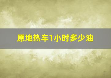 原地热车1小时多少油