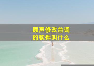 原声修改台词的软件叫什么