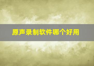 原声录制软件哪个好用