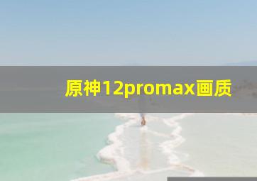 原神12promax画质