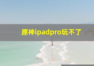 原神ipadpro玩不了