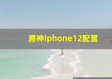 原神iphone12配置