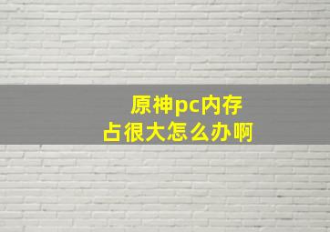 原神pc内存占很大怎么办啊