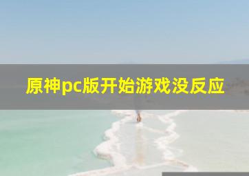 原神pc版开始游戏没反应