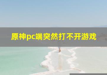 原神pc端突然打不开游戏