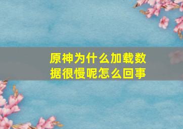 原神为什么加载数据很慢呢怎么回事