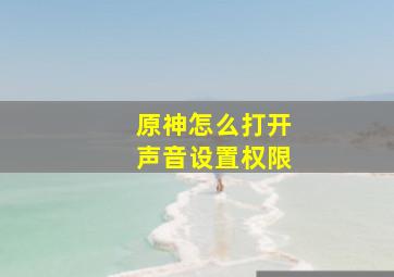 原神怎么打开声音设置权限