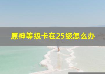 原神等级卡在25级怎么办