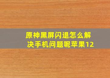 原神黑屏闪退怎么解决手机问题呢苹果12