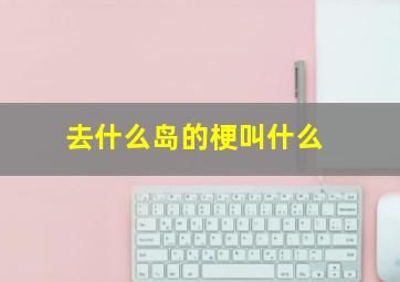 去什么岛的梗叫什么