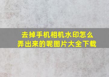 去掉手机相机水印怎么弄出来的呢图片大全下载