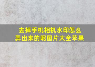 去掉手机相机水印怎么弄出来的呢图片大全苹果