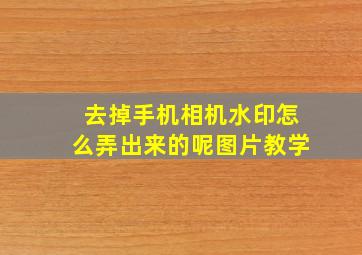 去掉手机相机水印怎么弄出来的呢图片教学