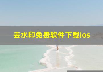 去水印免费软件下载ios