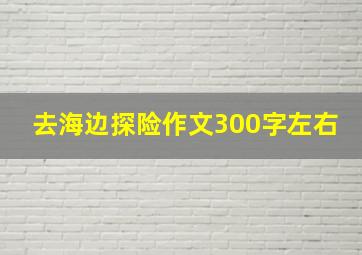 去海边探险作文300字左右