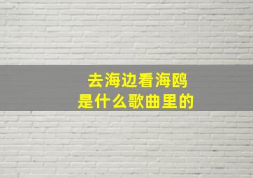 去海边看海鸥是什么歌曲里的