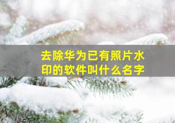 去除华为已有照片水印的软件叫什么名字