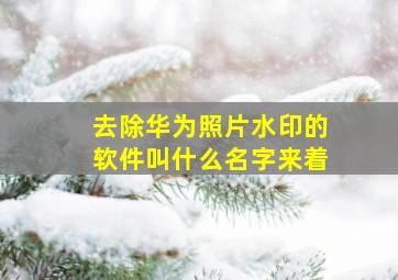 去除华为照片水印的软件叫什么名字来着