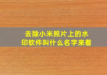 去除小米照片上的水印软件叫什么名字来着