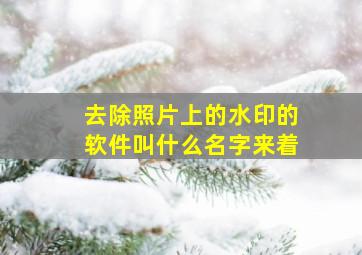 去除照片上的水印的软件叫什么名字来着