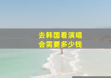 去韩国看演唱会需要多少钱