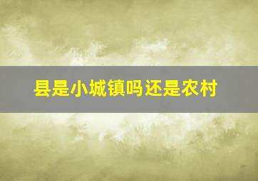 县是小城镇吗还是农村