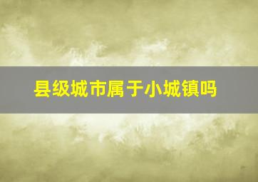 县级城市属于小城镇吗