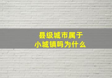 县级城市属于小城镇吗为什么