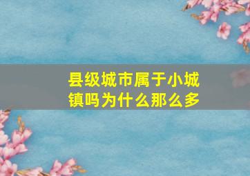 县级城市属于小城镇吗为什么那么多