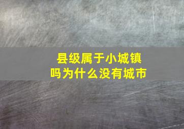 县级属于小城镇吗为什么没有城市