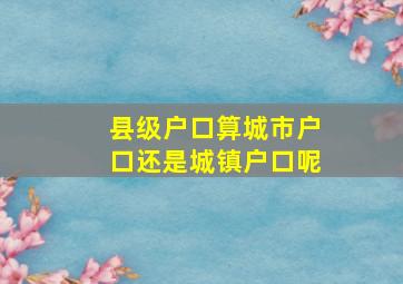 县级户口算城市户口还是城镇户口呢