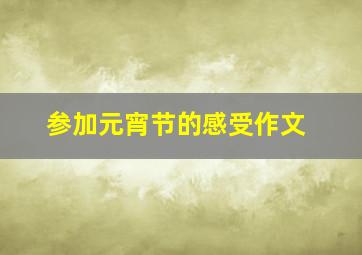 参加元宵节的感受作文