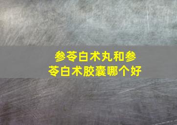 参苓白术丸和参苓白术胶囊哪个好