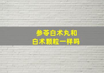 参苓白术丸和白术颗粒一样吗