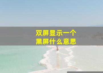 双屏显示一个黑屏什么意思