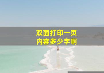 双面打印一页内容多少字啊