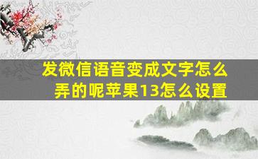 发微信语音变成文字怎么弄的呢苹果13怎么设置