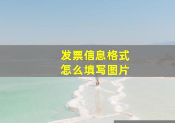 发票信息格式怎么填写图片