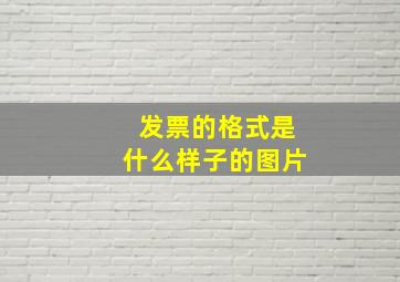 发票的格式是什么样子的图片