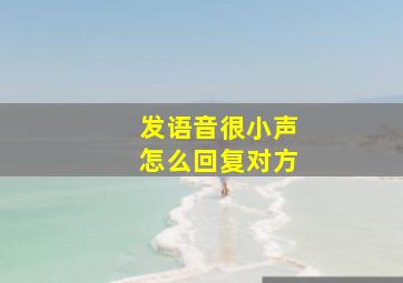 发语音很小声怎么回复对方