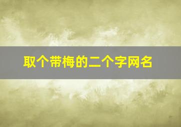 取个带梅的二个字网名