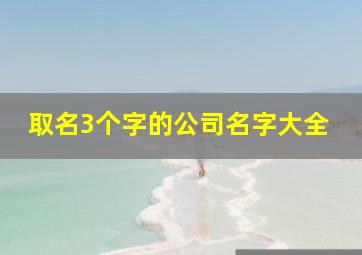 取名3个字的公司名字大全