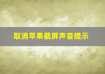 取消苹果截屏声音提示