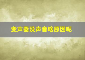 变声器没声音啥原因呢