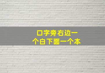 口字旁右边一个白下面一个本