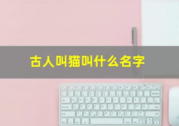 古人叫猫叫什么名字