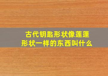 古代钥匙形状像莲蓬形状一样的东西叫什么