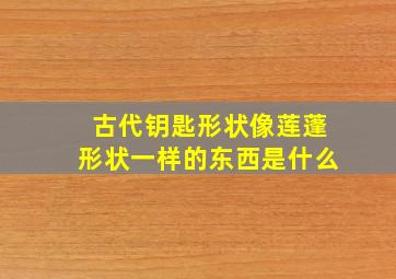 古代钥匙形状像莲蓬形状一样的东西是什么