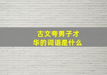 古文夸男子才华的词语是什么